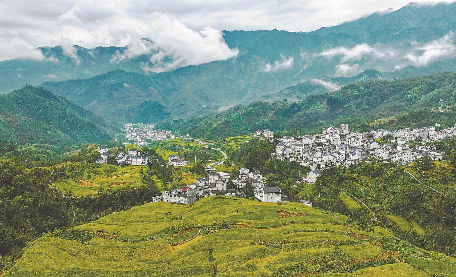 月光下的古韵独白,安徽小镇夜色中的汉服演绎