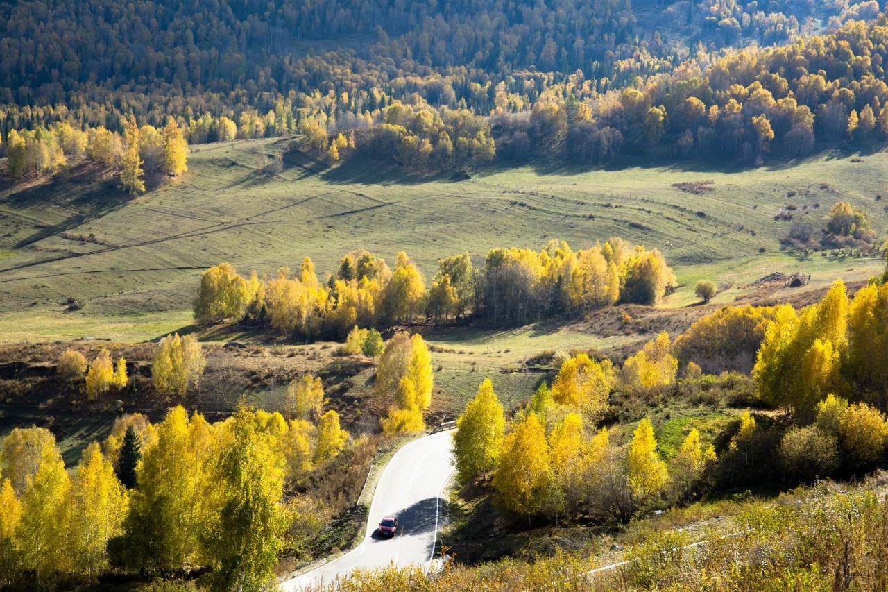 新疆，尊贵领导与挚友共聚盛会